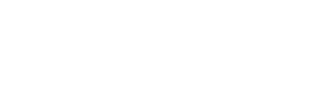 Car Rental and Transfer Services